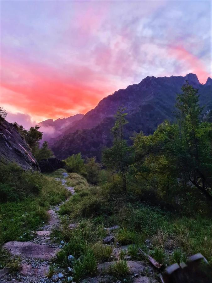 Incantevole Casa Sul Fiume, Relax E Natura Ai Piedi Della Alpi Apuane Massa  Buitenkant foto
